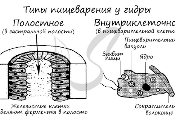 Ссылки на кракен зеркала