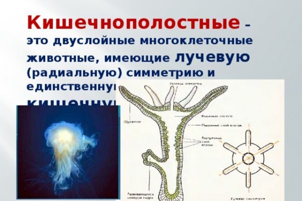 Кракен актуальная ссылка тор